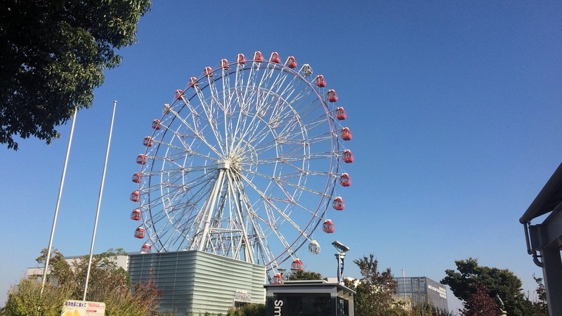 イメージ 8