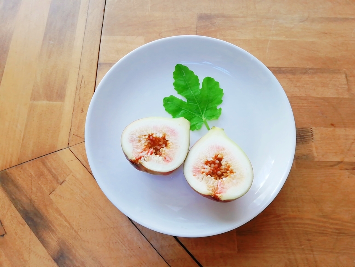 f:id:pannsuki:20210803105200j:plain