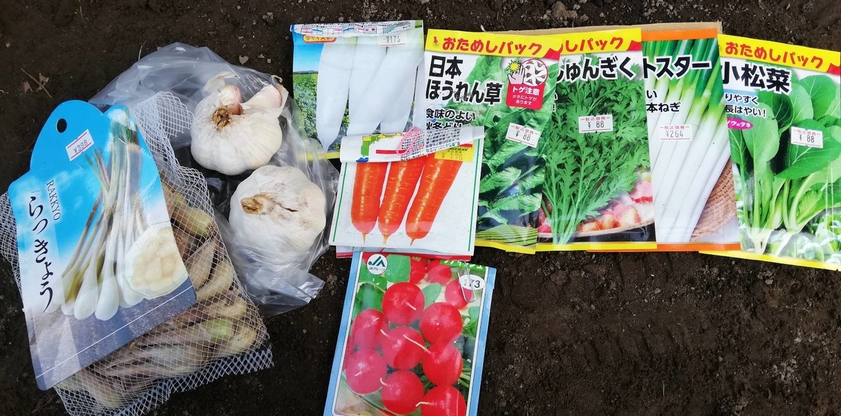 秋冬野菜の種まき 家庭菜園おすすめ野菜 Pannsukiのブログ