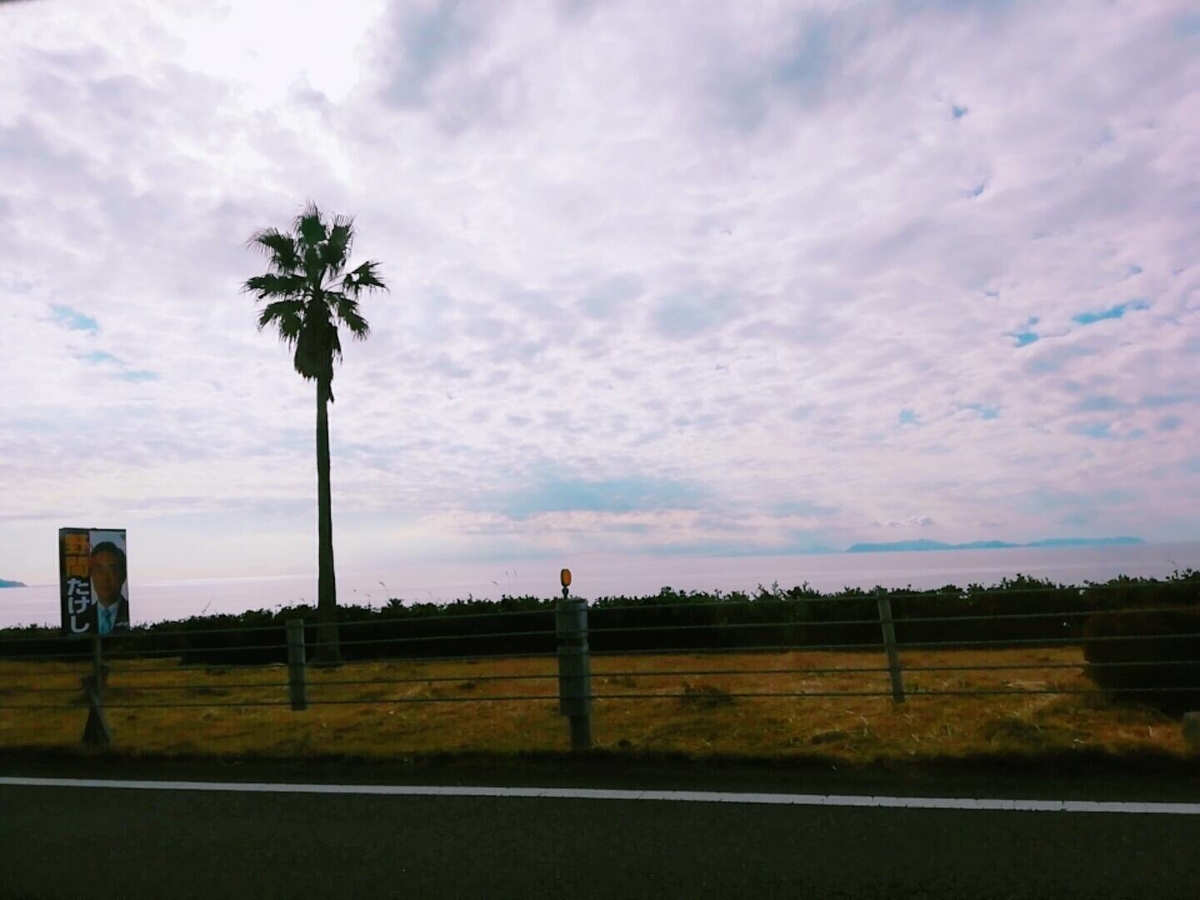 f:id:pannsuki:20211210234919j:plain