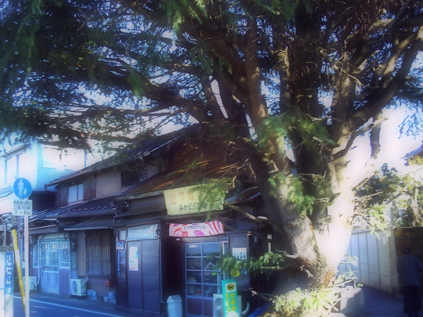f:id:pannyaa:20120923204437j:image