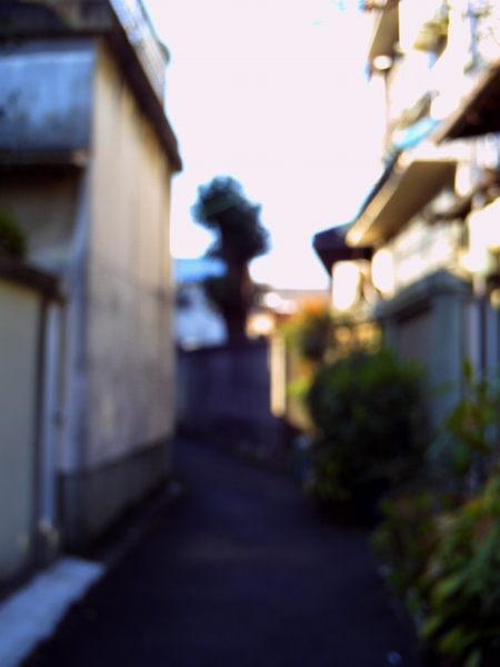 f:id:pannyaa:20120923204441j:image