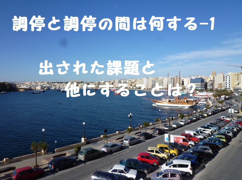 調停と調停の間は何するの?-1 出された課題と他にすることは?