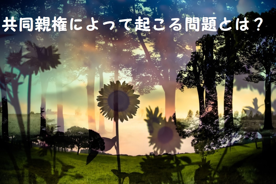 共同親権によって起こる問題とは?私は問題は大きくなるのではと考えました。