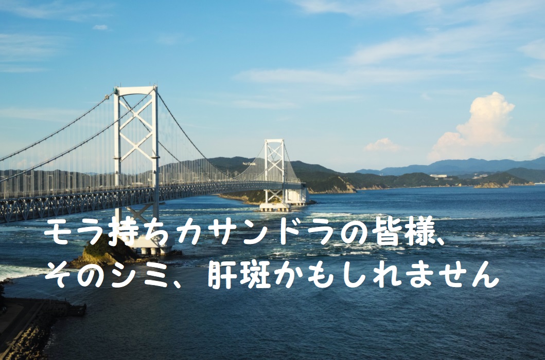 モラ持ちカサンドラの皆様、そのシミ、肝斑かもしれません