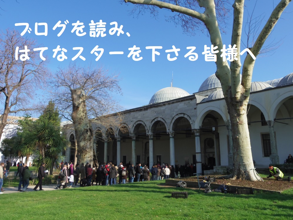 ブログを読み はてなスターを下さる皆様へ 調停離婚しました シングルマザーakariの日記 ブログを読み はてなスターを下さる皆様へ 調停離婚しました シングルマザーakariの日記