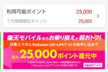 25000ポイント