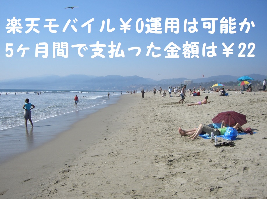 楽天モバイル¥0運用は可能か?