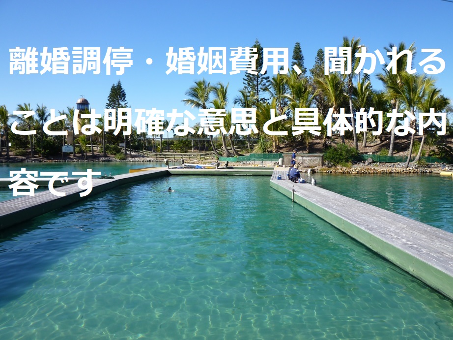 f:id:panpanjiji:20220310213843j:plain