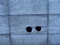 20090110222644