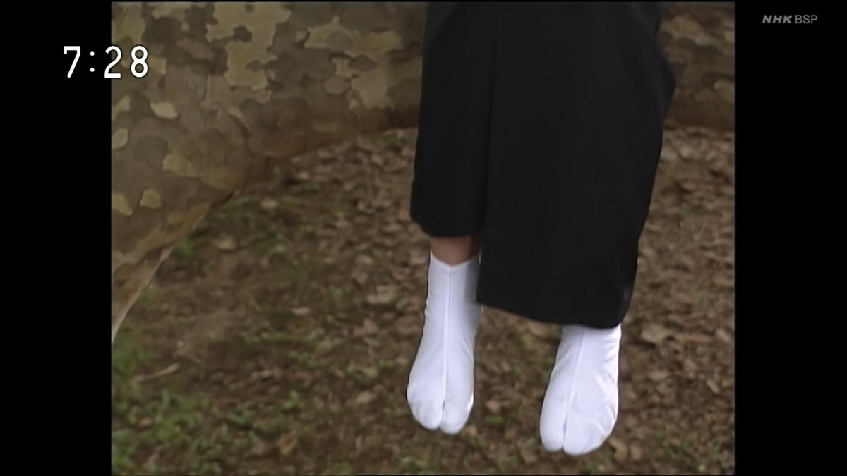 f:id:panpars:20210718092302j:plain