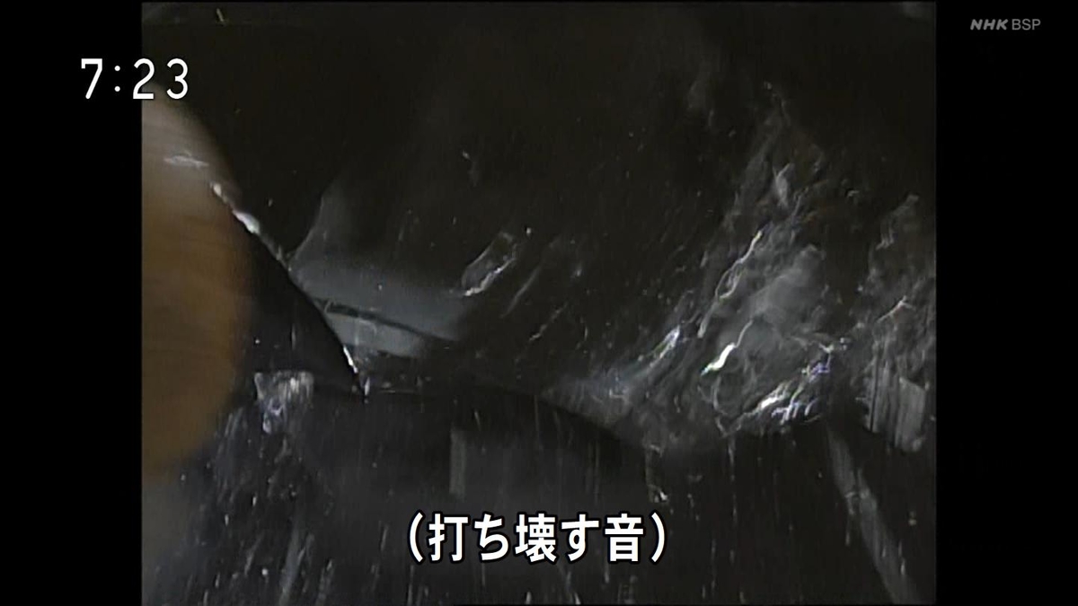 f:id:panpars:20210814115054j:plain