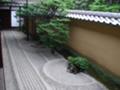 [京都][寺] 大徳寺・龍源院