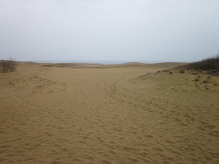f:id:panthers:20110409080302j:image f:id:panthers:20110409080302j:image