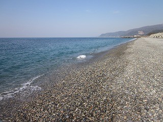 f:id:panthers:20110415055555j:image f:id:panthers:20110415055555j:image