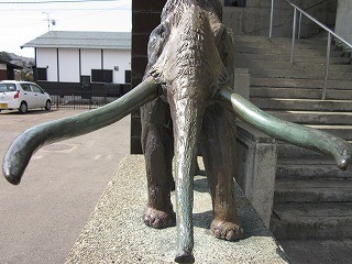 f:id:panthers:20110416054240j:image f:id:panthers:20110416054240j:image