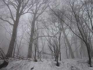 f:id:panthers:20110424051249j:image f:id:panthers:20110424051249j:image