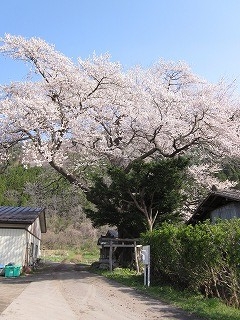 f:id:panthers:20110427052033j:image f:id:panthers:20110427052033j:image