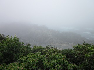 f:id:panthers:20110511064356j:image f:id:panthers:20110511064356j:image