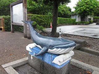 f:id:panthers:20110528052953j:image f:id:panthers:20110528052953j:image