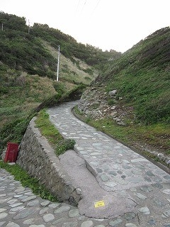 f:id:panthers:20110531071942j:image f:id:panthers:20110531071942j:image