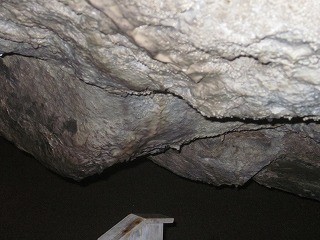 f:id:panthers:20110609053636j:image f:id:panthers:20110609053636j:image