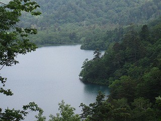 f:id:panthers:20110720181548j:image f:id:panthers:20110720181548j:image