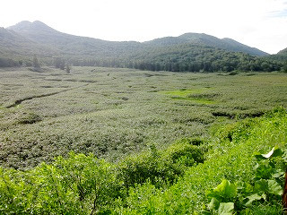 f:id:panthers:20110723074800j:image f:id:panthers:20110723074800j:image