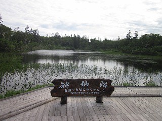 f:id:panthers:20110723075521j:image f:id:panthers:20110723075521j:image
