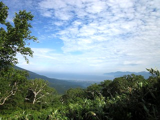 f:id:panthers:20110723075522j:image f:id:panthers:20110723075522j:image
