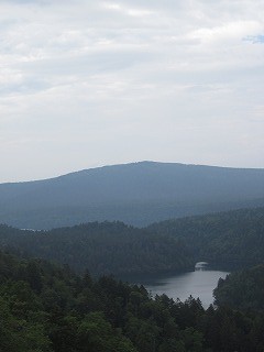 f:id:panthers:20110811054249j:image f:id:panthers:20110811054249j:image