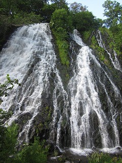 f:id:panthers:20110813063507j:image f:id:panthers:20110813063507j:image