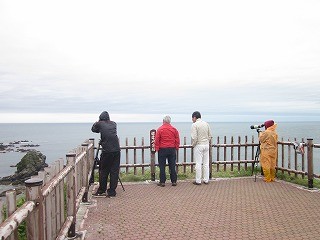 f:id:panthers:20110819093948j:image f:id:panthers:20110819093948j:image