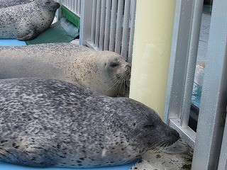 f:id:panthers:20120513060335j:image f:id:panthers:20120513060335j:image