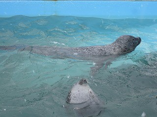 f:id:panthers:20120513060337j:image f:id:panthers:20120513060337j:image