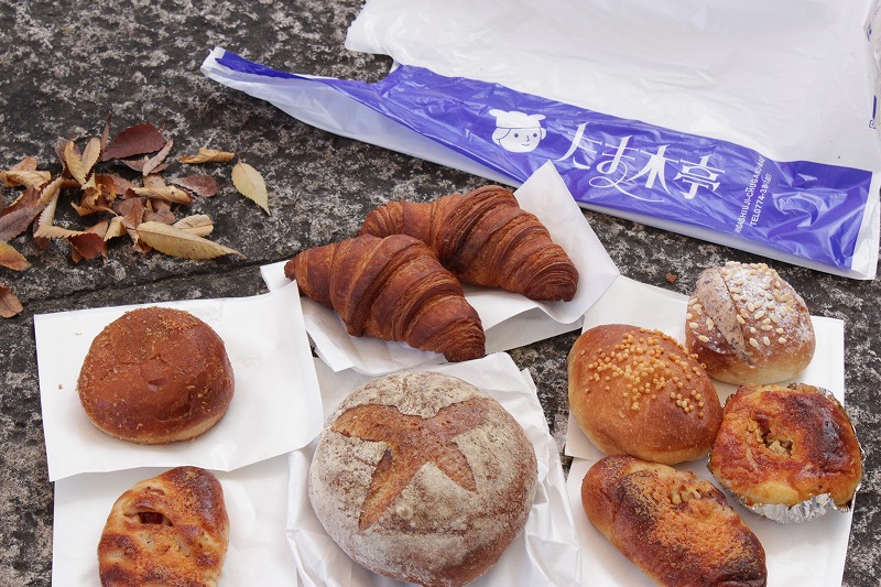 ãã¾æ¨äº­ì ëí ì´ë¯¸ì§ ê²ìê²°ê³¼