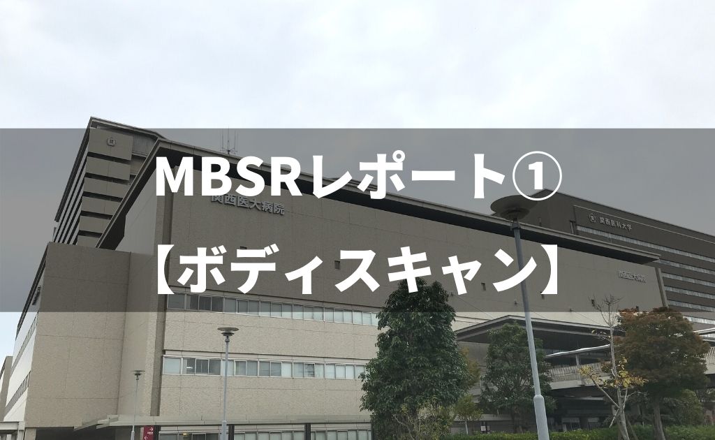 f:id:pao-elephant:20191120115355j:plain