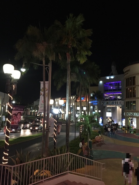 イメージ 39