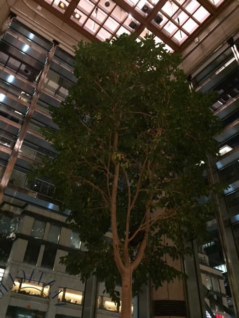 イメージ 2