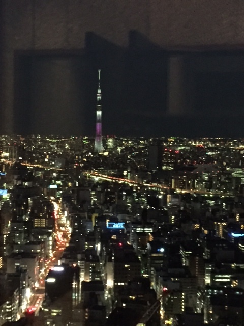 イメージ 23