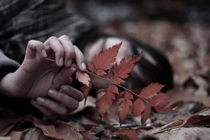 f:id:paopaopa:20110227234055j:image f:id:paopaopa:20110227234055j:image