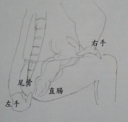 f:id:papa-chin:20170226162901j:plain f:id:papa-chin:20170226162901j:plain