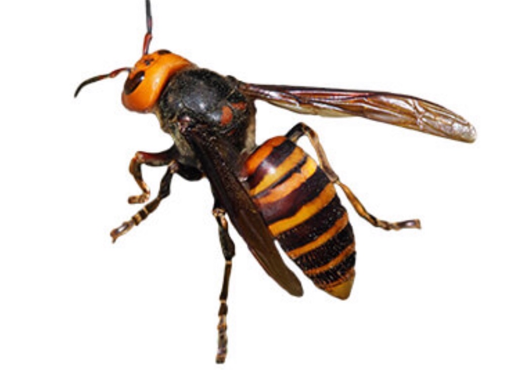 f:id:papa-outdoor:20190627161914j:image f:id:papa-outdoor:20190627161914j:image