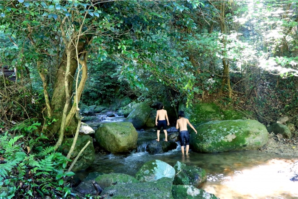 f:id:papa-outdoor:20190703124951j:image f:id:papa-outdoor:20190703124951j:image