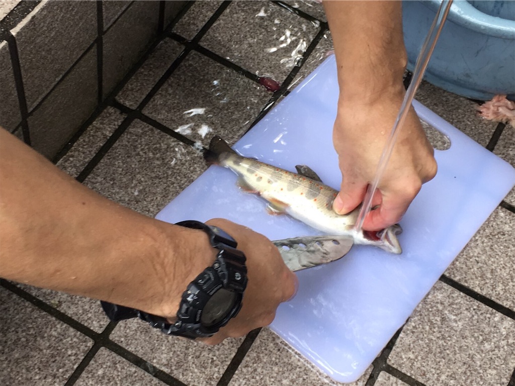 f:id:papa-outdoor:20190821231204j:image f:id:papa-outdoor:20190821231204j:image