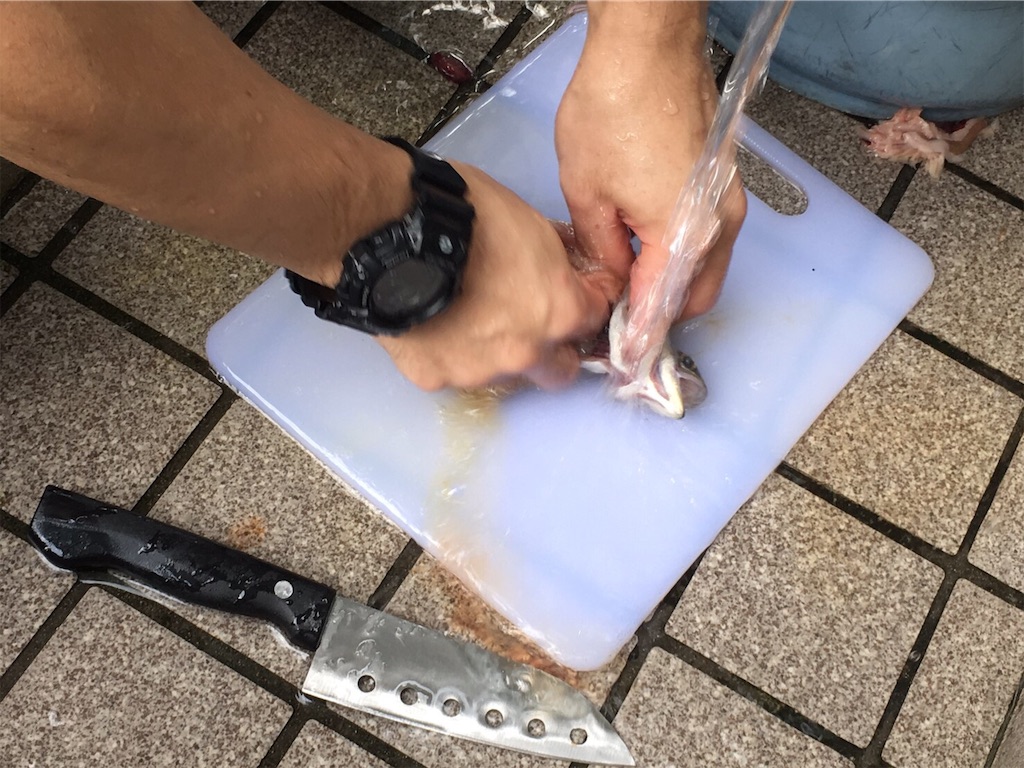 f:id:papa-outdoor:20190821231356j:image f:id:papa-outdoor:20190821231356j:image
