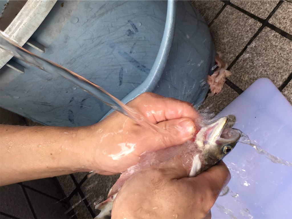 f:id:papa-outdoor:20190821231711j:image f:id:papa-outdoor:20190821231711j:image