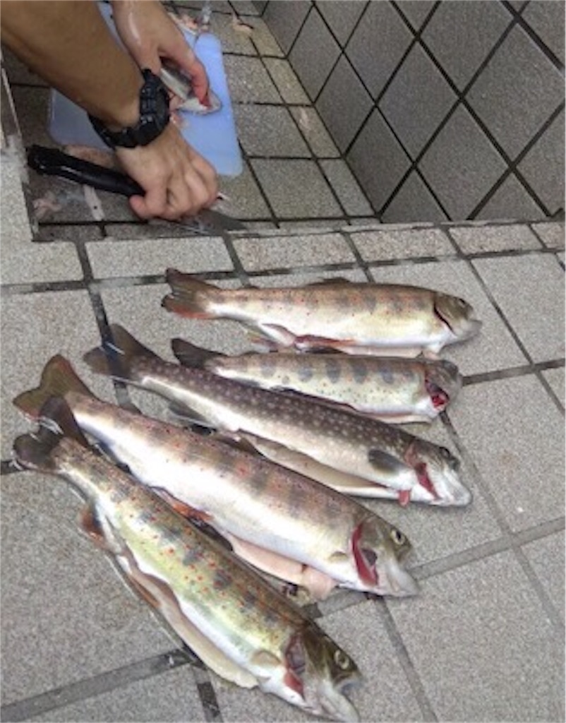 f:id:papa-outdoor:20190821232007j:image f:id:papa-outdoor:20190821232007j:image