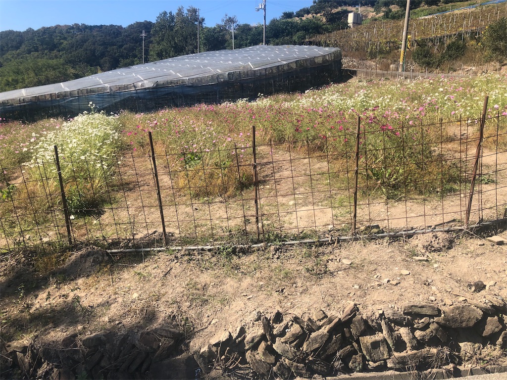f:id:papa-outdoor:20191106194251j:image f:id:papa-outdoor:20191106194251j:image