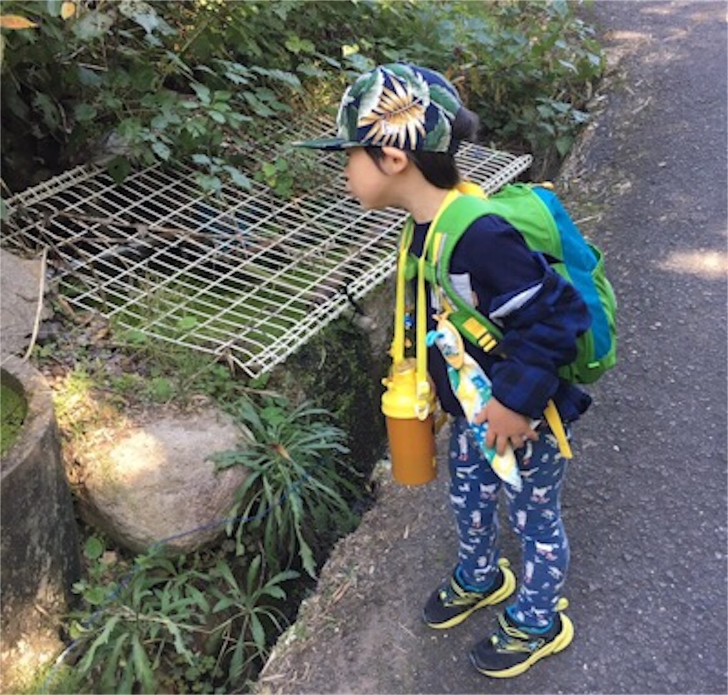 f:id:papa-outdoor:20191106195044j:image f:id:papa-outdoor:20191106195044j:image